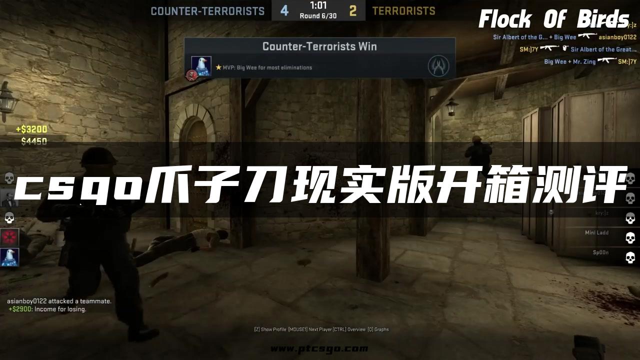 csgo爪子刀现实版开箱测评