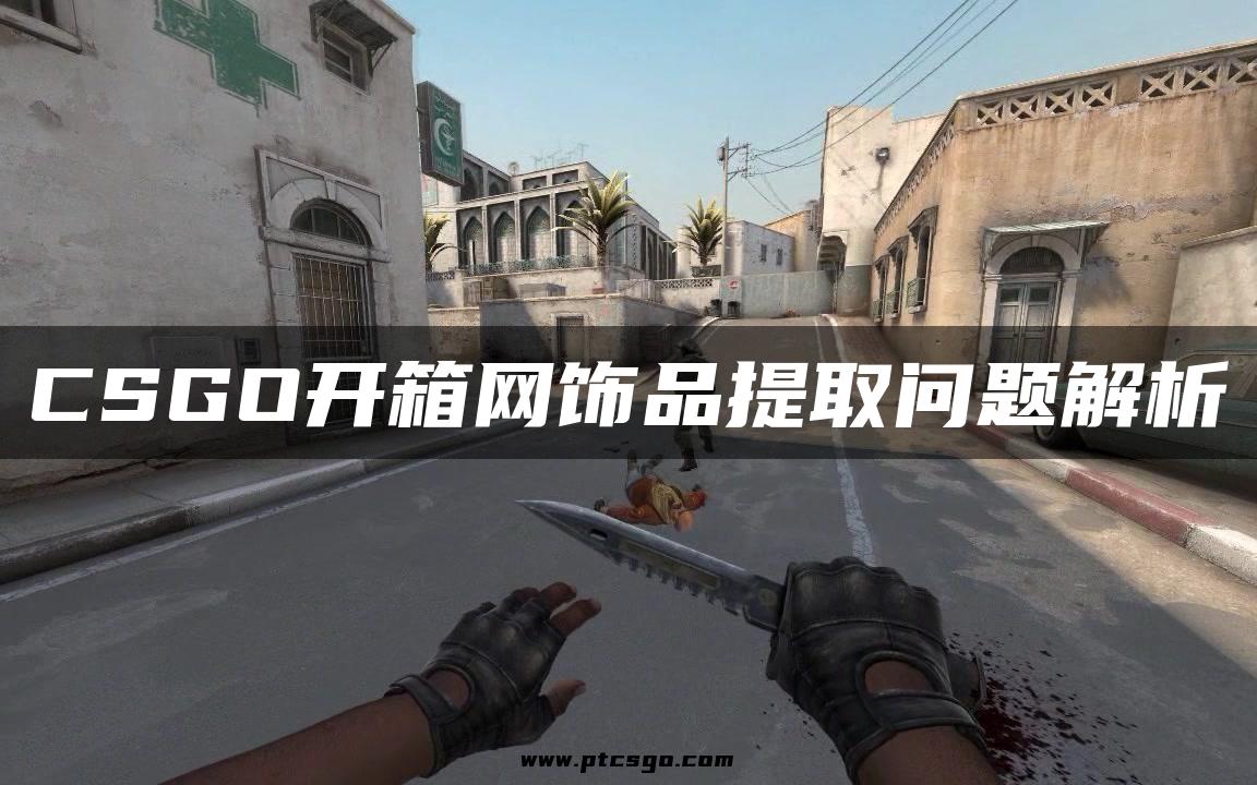 CSGO开箱网饰品提取问题解析