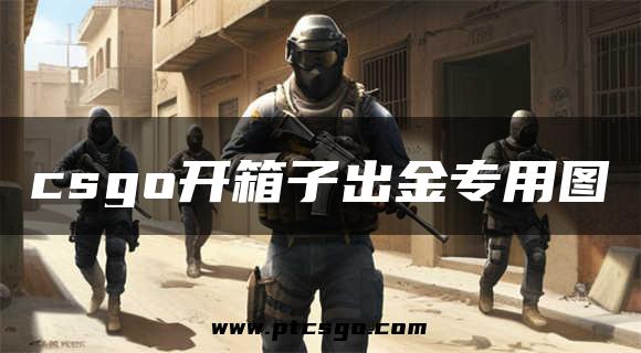 csgo开箱子出金专用图