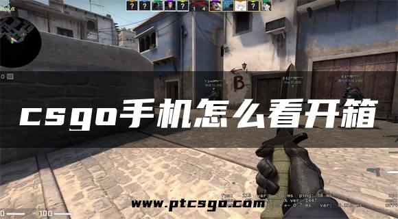 csgo手机怎么看开箱