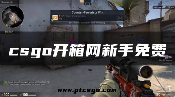 csgo开箱网新手免费