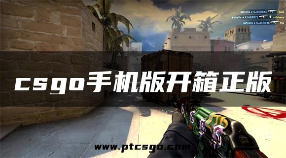 csgo手机版开箱正版