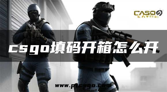 csgo填码开箱怎么开