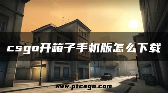 csgo开箱子手机版怎么下载