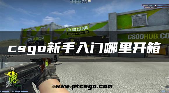 csgo新手入门哪里开箱