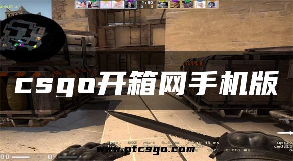 csgo开箱网手机版