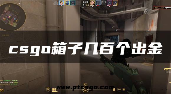 csgo箱子几百个出金