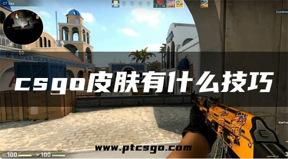 csgo皮肤有什么技巧