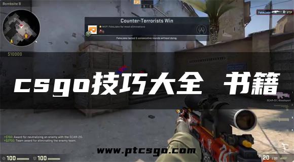 csgo技巧大全 书籍