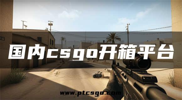 国内csgo开箱平台