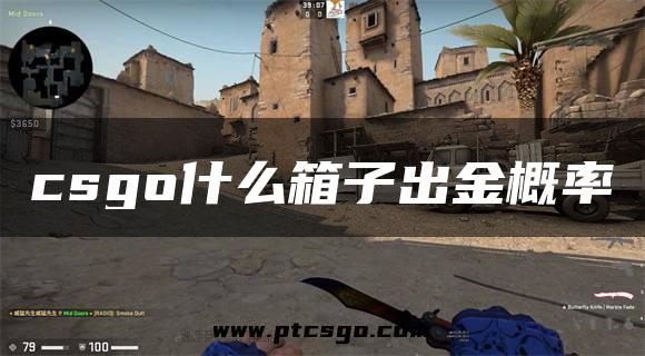 csgo什么箱子出金概率