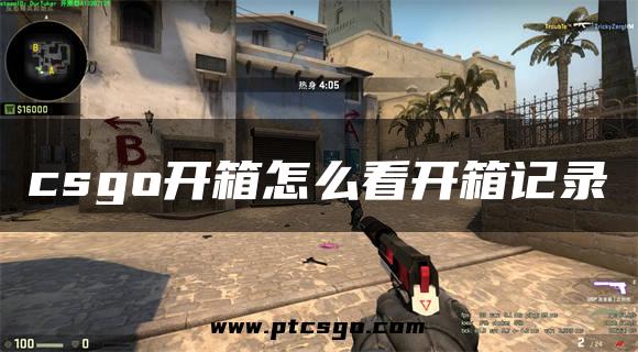 csgo开箱怎么看开箱记录