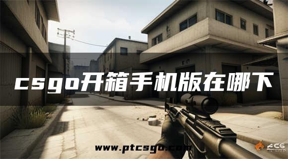 csgo开箱手机版在哪下