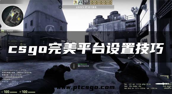 csgo完美平台设置技巧