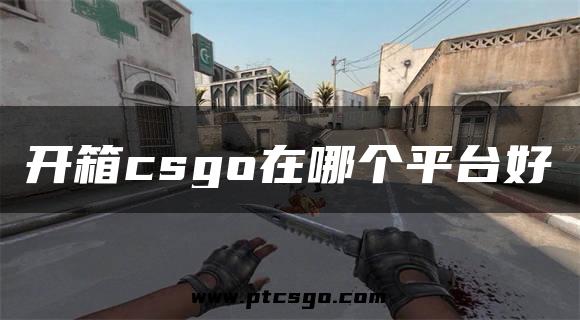 开箱csgo在哪个平台好