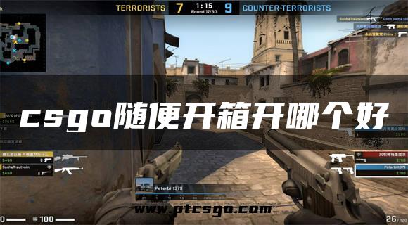 csgo随便开箱开哪个好