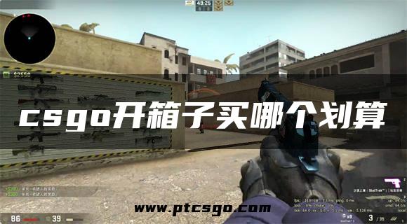 csgo开箱子买哪个划算