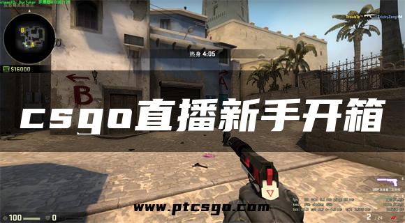 csgo直播新手开箱