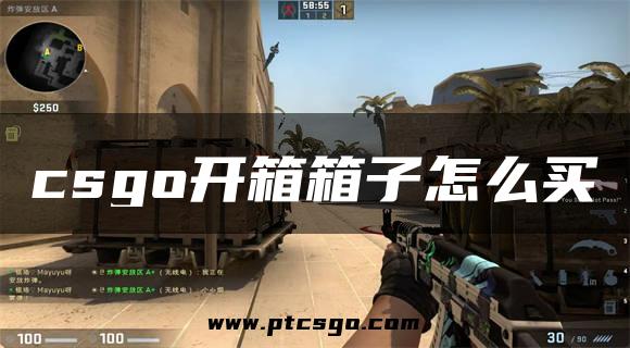 csgo开箱箱子怎么买