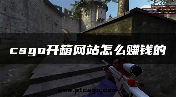 csgo开箱网站怎么赚钱的