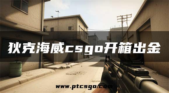 狄克海威csgo开箱出金