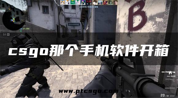 csgo那个手机软件开箱