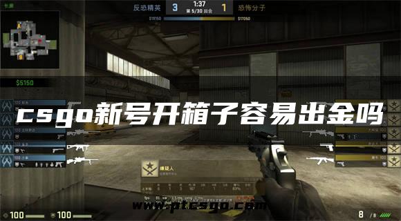 csgo新号开箱子容易出金吗