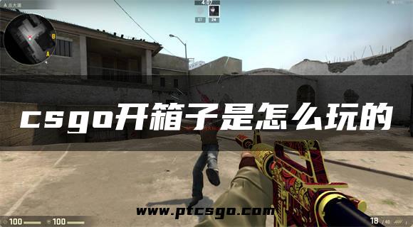 csgo开箱子是怎么玩的