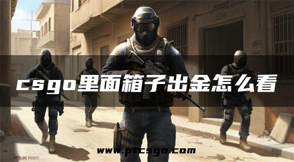 csgo里面箱子出金怎么看