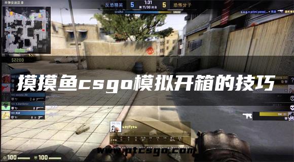 摸摸鱼csgo模拟开箱的技巧