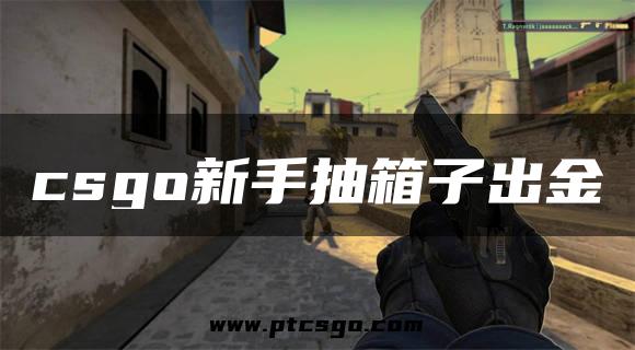 csgo新手抽箱子出金