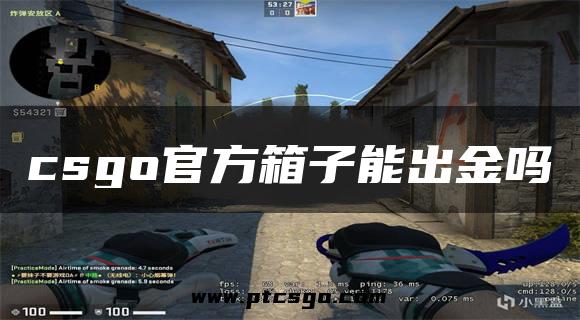 csgo官方箱子能出金吗