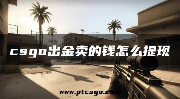 csgo出金卖的钱怎么提现