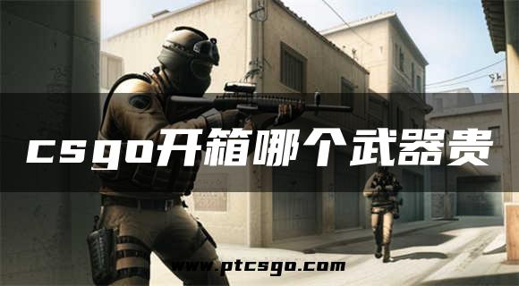 csgo开箱哪个武器贵