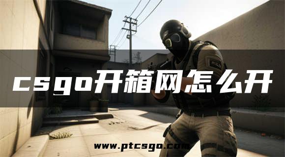 csgo开箱网怎么开