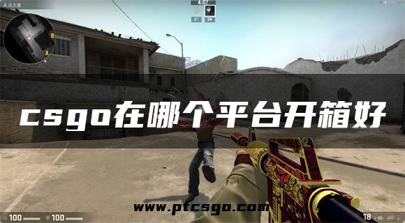 csgo在哪个平台开箱好