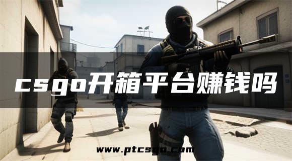 csgo开箱平台赚钱吗