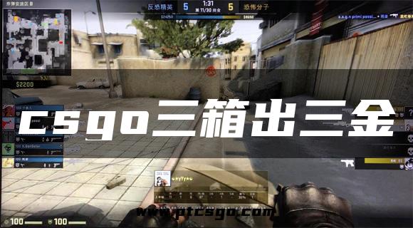 csgo三箱出三金