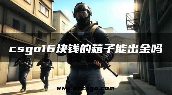 csgo16块钱的箱子能出金吗