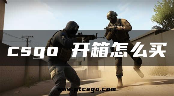 csgo 开箱怎么买