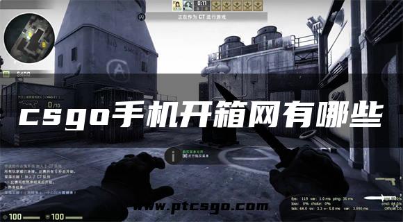 csgo手机开箱网有哪些