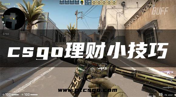 csgo理财小技巧