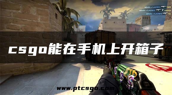 csgo能在手机上开箱子