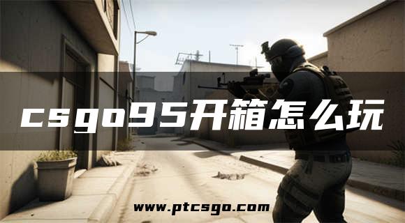 csgo95开箱怎么玩