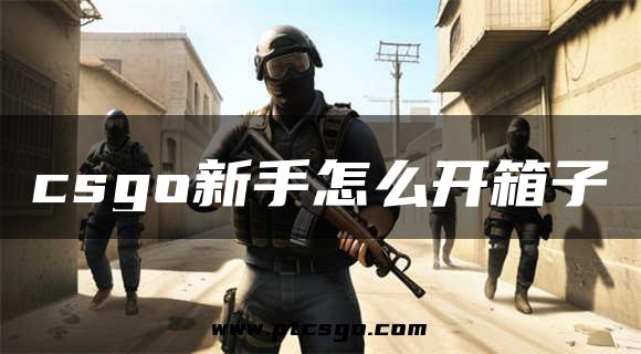 csgo新手怎么开箱子