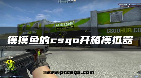 摸摸鱼的csgo开箱模拟器