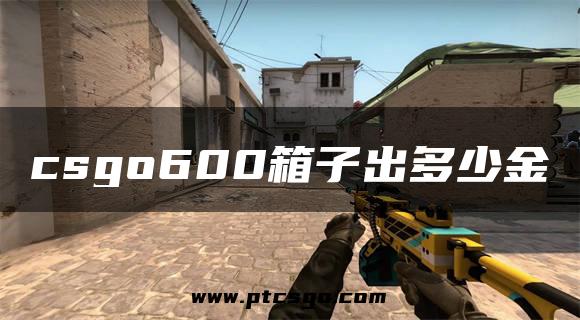 csgo600箱子出多少金