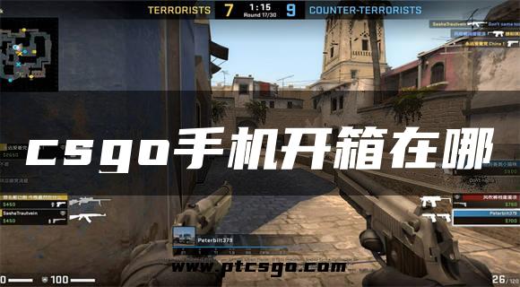 csgo手机开箱在哪