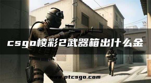 csgo棱彩2武器箱出什么金