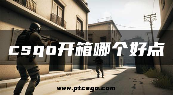 csgo开箱哪个好点